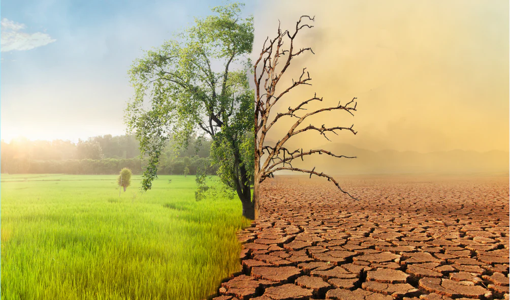 Opinie: 'Ons klimaatbeleid is een misverstand' bevat feitelijke onjuistheden - De Factor factcheck